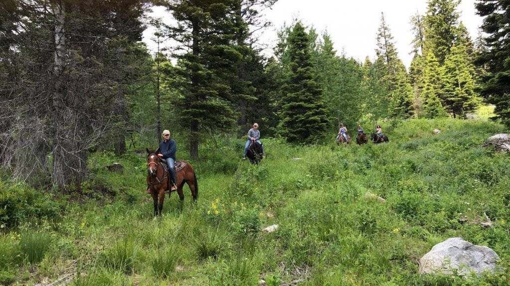 five people ride horseback through a lush green forest in the Payette National Forest with Ya-Hoo Corrals