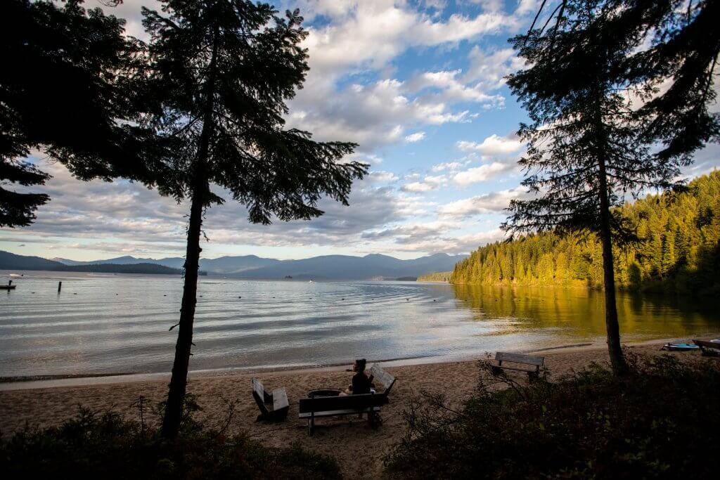 sandy beach with pine trees and view of lake