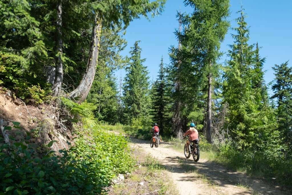 people on bikes on forest trail