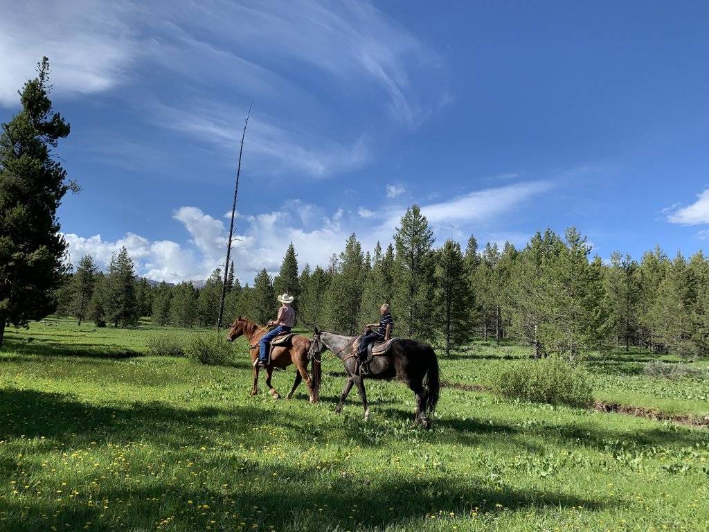 A man wearing a cowboy hat and a child ride horses through a grassy meadow, lined with pine trees on Eagle Ridge Ranch in Idaho