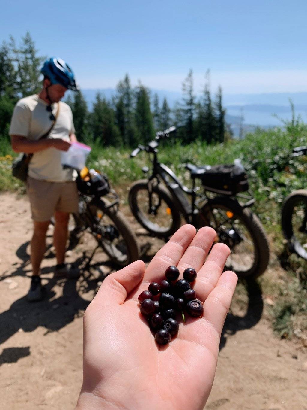 person holding handful of huckleberries