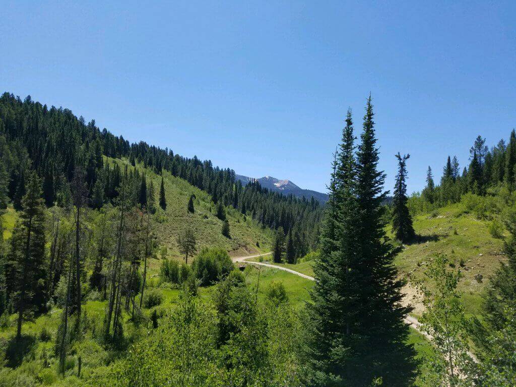 gravel road winding through green hills