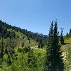 gravel road winding through green hills