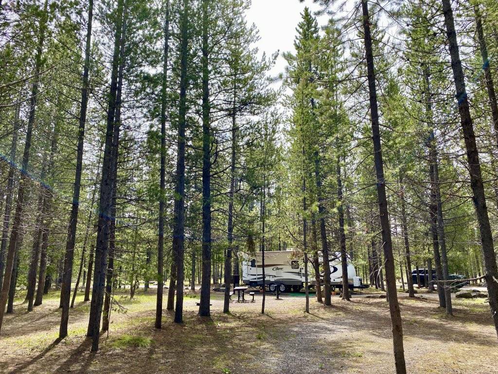 camper in amongst trees at big springs campground