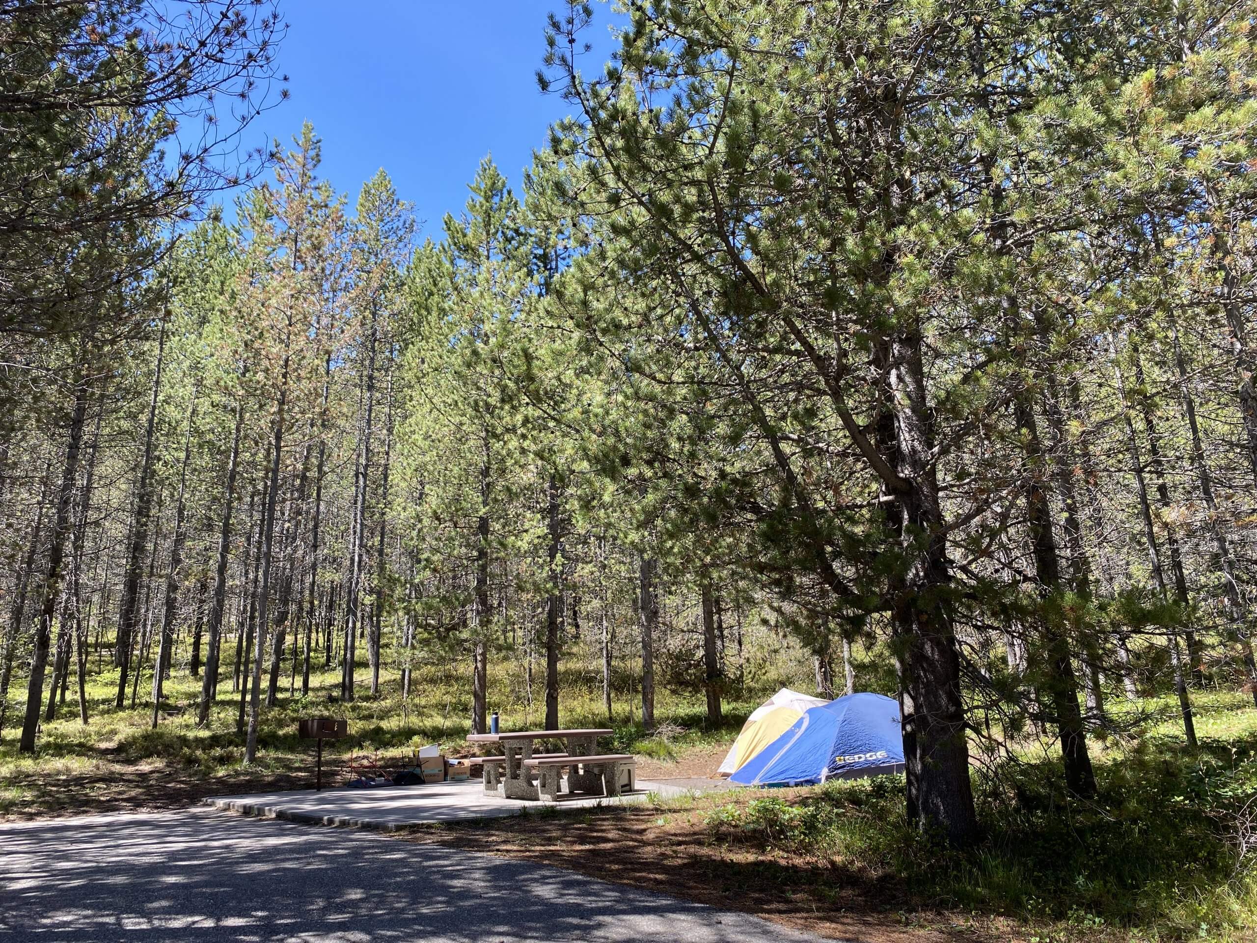 small tent at campsite in the trees