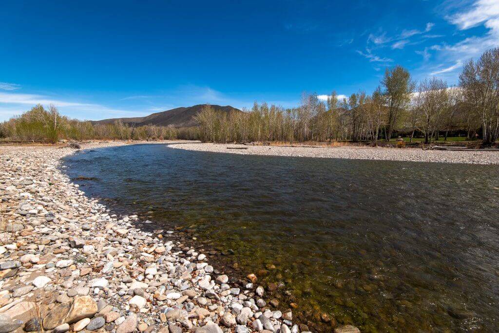 scenic shot of river bank with trees in the distance