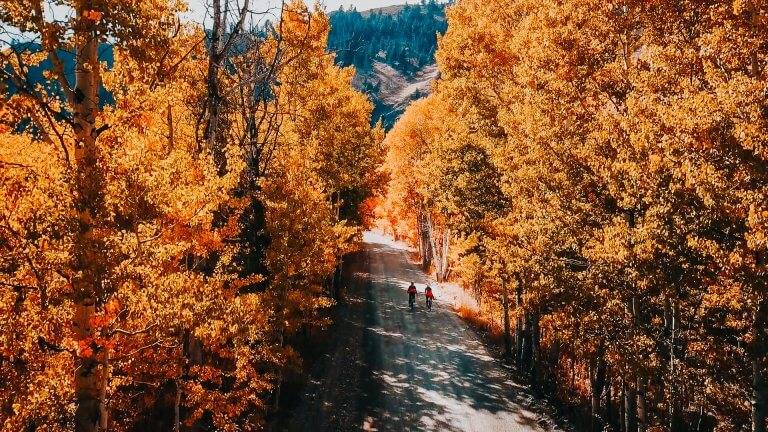 Two people dressed in red, ride bikes along a dirt road lined with yellow and orange trees in Idaho