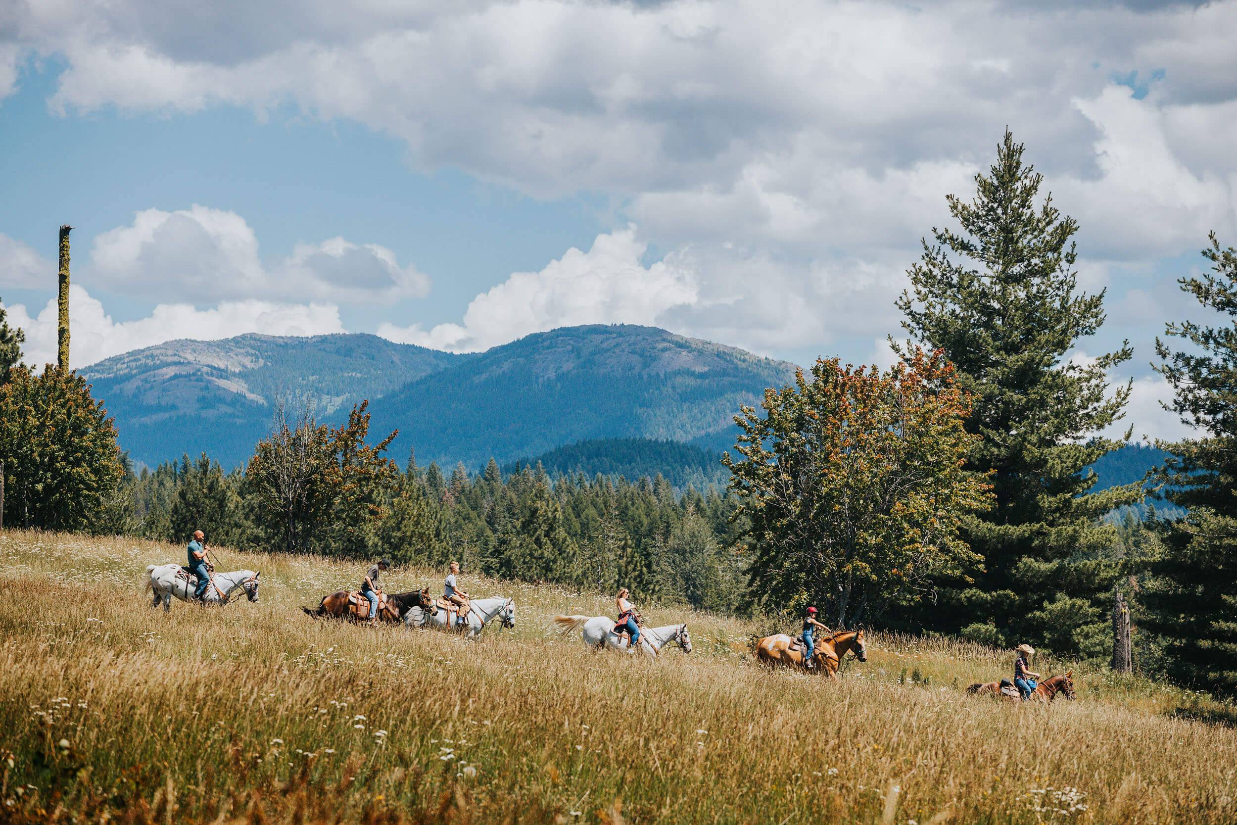 a group of people riding horses in a field surrounded by trees with mountains in the distance