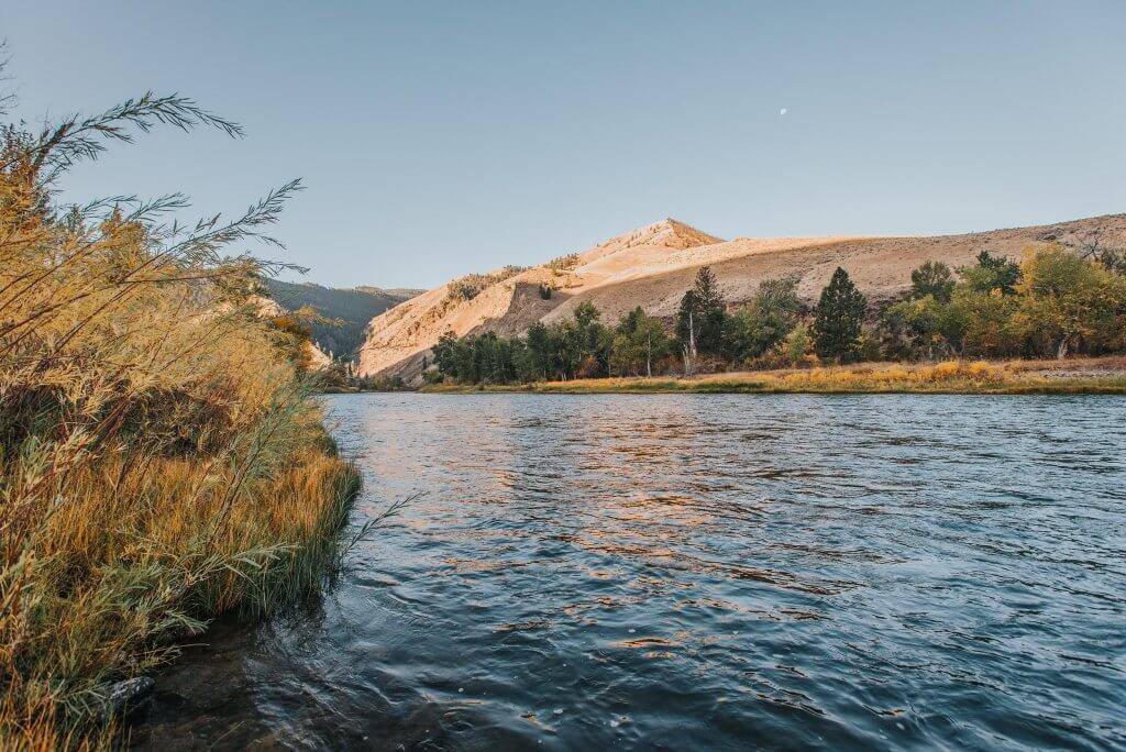 a view of a river lined with trees with mountains in the background