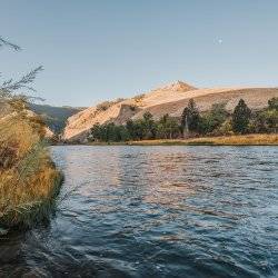 A view of the Salmon River lined with trees with mountains in the background at Dry Gulch.