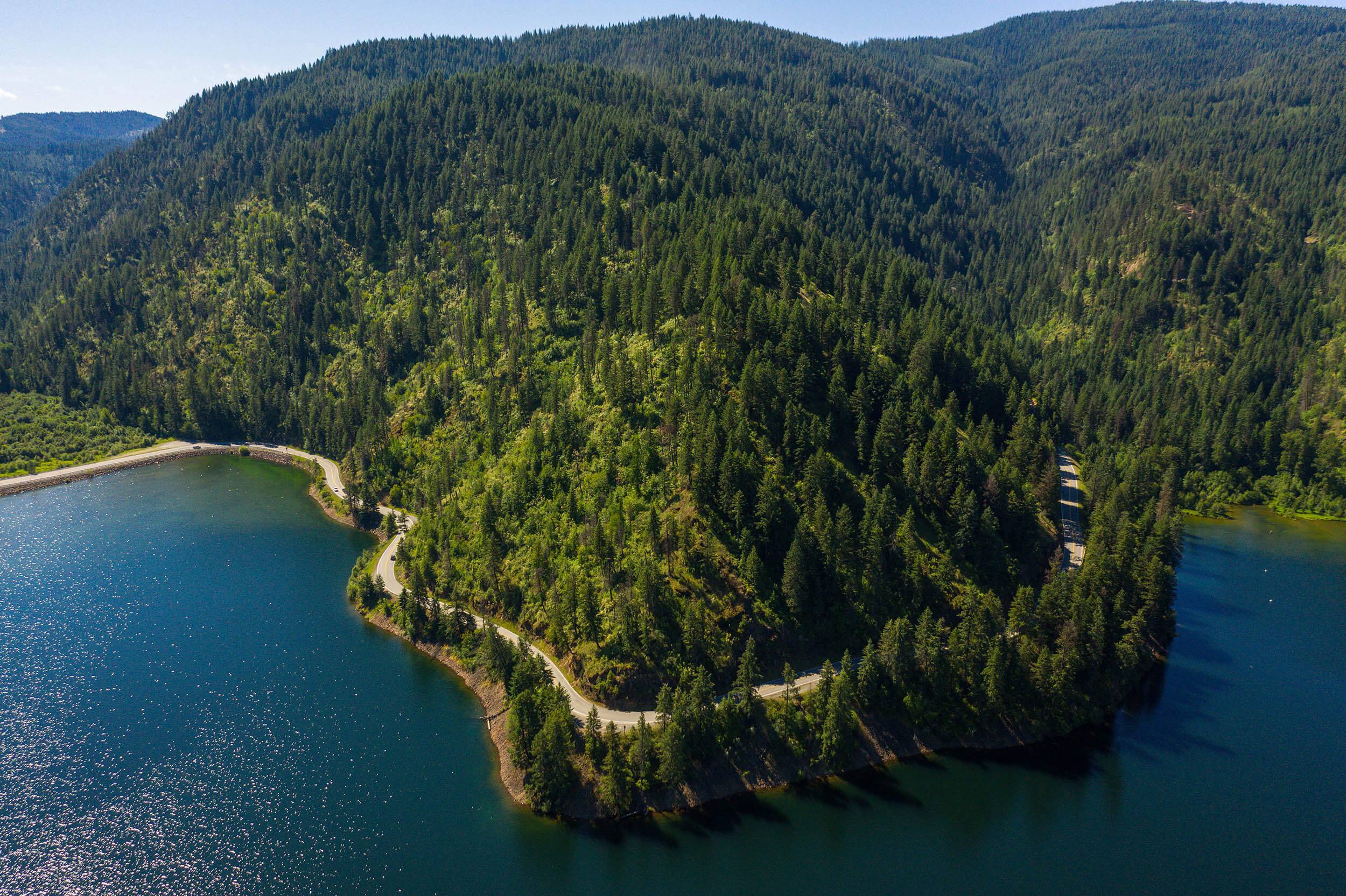 a birds-eye view of a forest and a winding road running alongside a lake