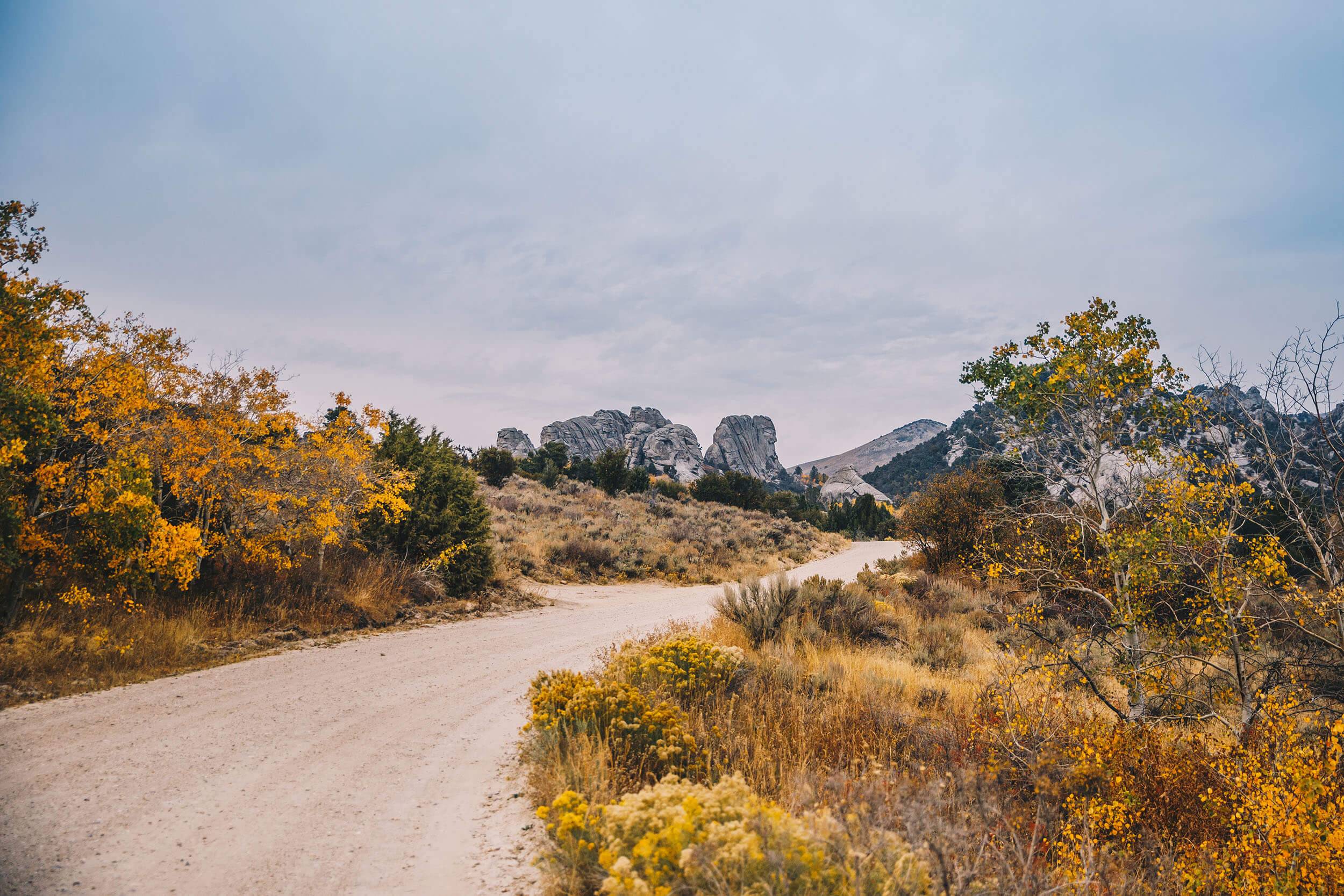 A winding dirt road surrounded by orange and yellow shrubbery with rock formations in the distance