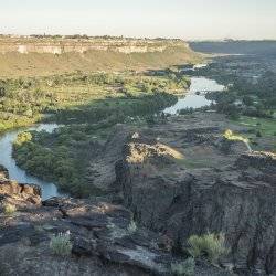 An overhead view of the Snake River running through a tree covered canyon.