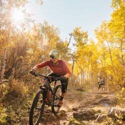 mountain bike rider and dog on trail in the trees