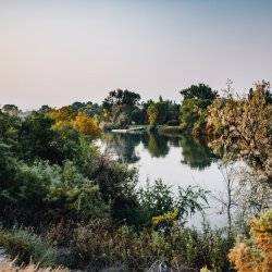 The Snake River lined with green and yellow trees.