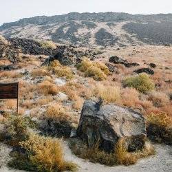 a large rock beside a wooden sign surrounded by desert shrubs with mountains in the background