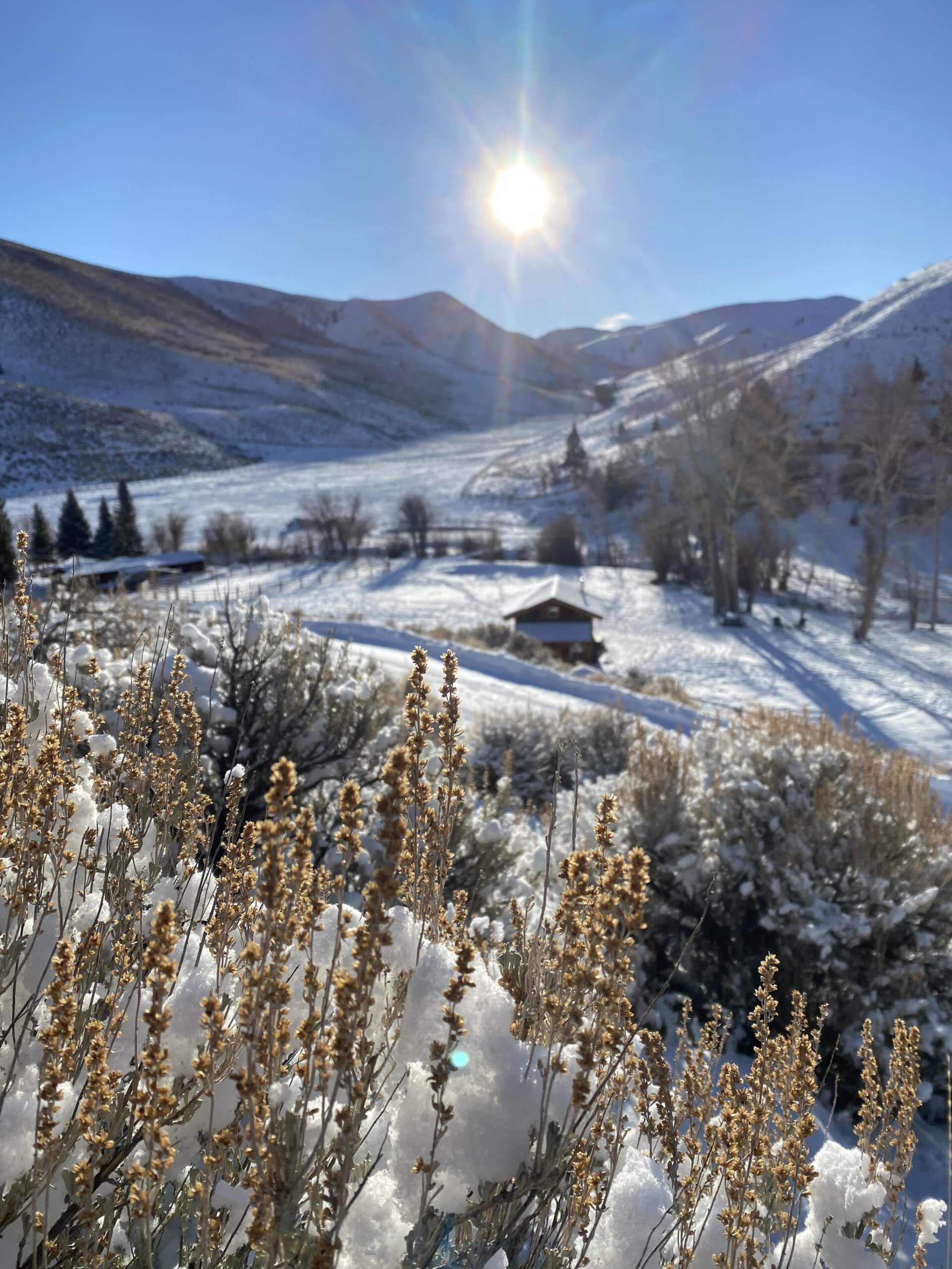 The winter sun shines over a snowy hillside view of I Bar Ranch Cabin in Challis, Idaho.