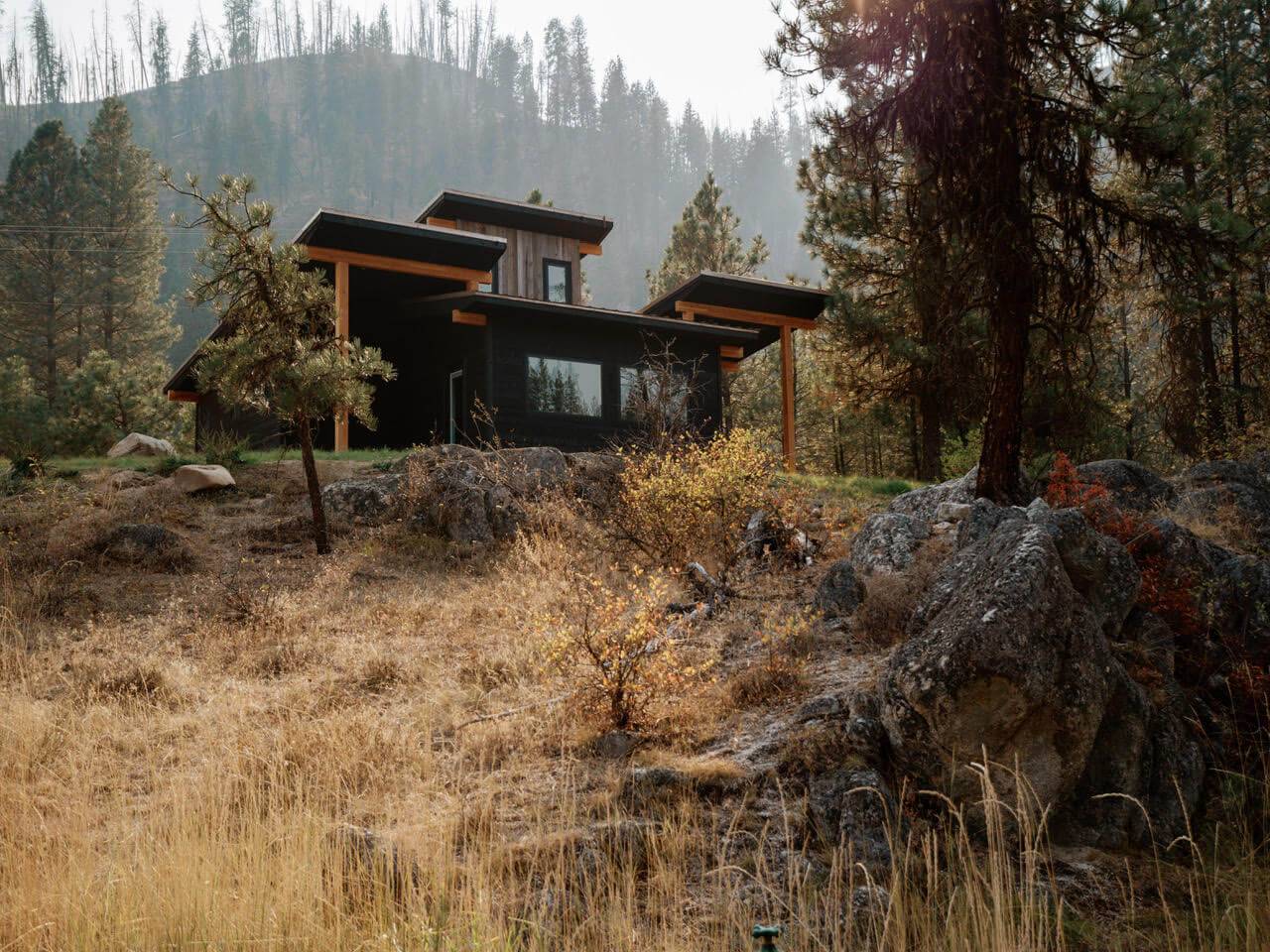 Grass climbs up a hill leading up to the Southfork Springs Cabin as tall trees soar in the background.