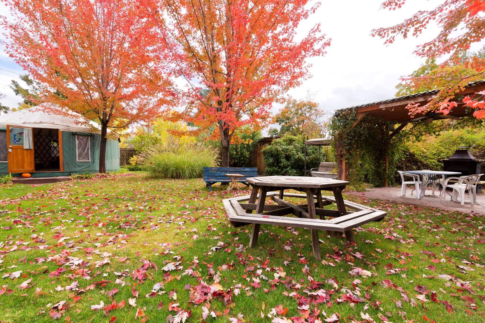 Vibrant fallen leaves pop along the 36th Street Urban Yurt garden, beneath a wooden bench where fire-red trees stand in the background.