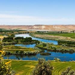 A view of a the Snake River running through a green landscape at Three Island Crossing State Park.