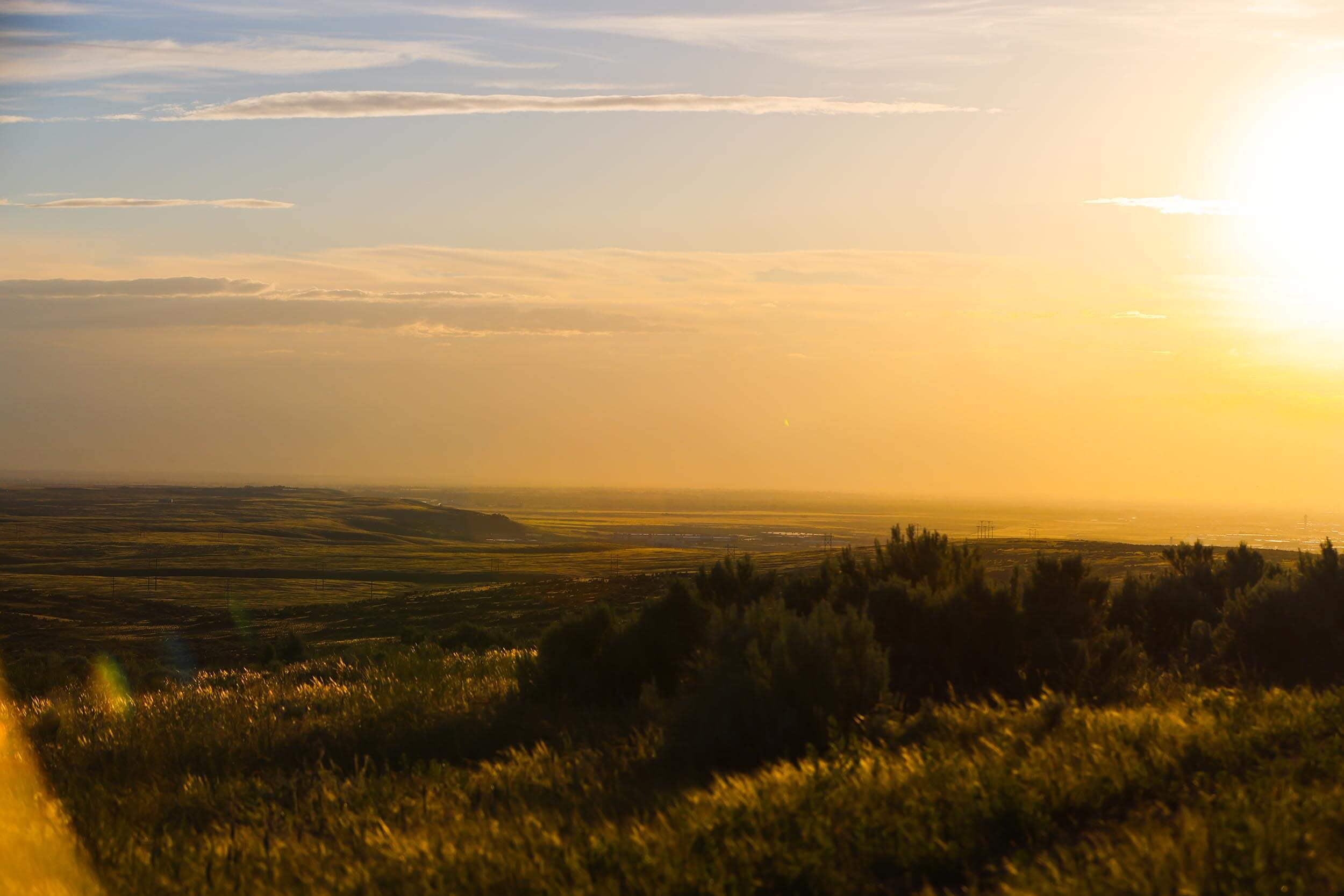 view of an expansive field of grass and the setting sun