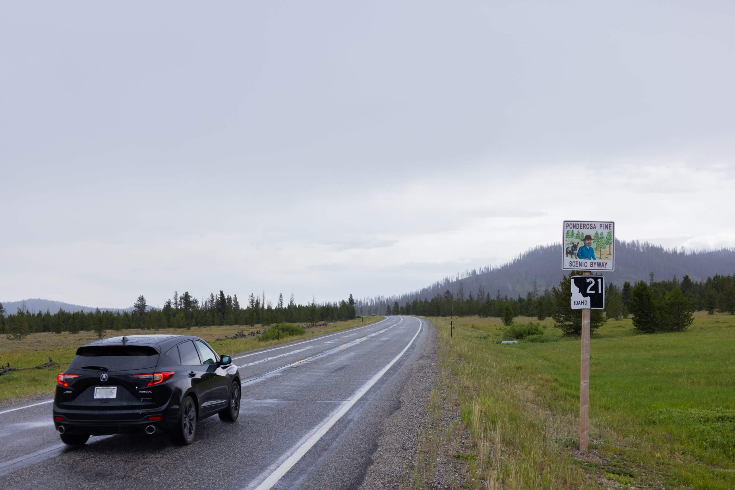 a car driving down a tree-lined road, along the Ponderosa Pine Scenic Byway