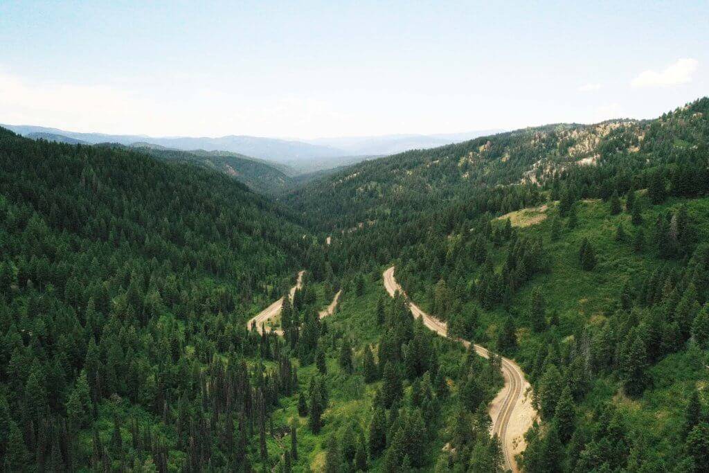 A road winding through a forest of trees.