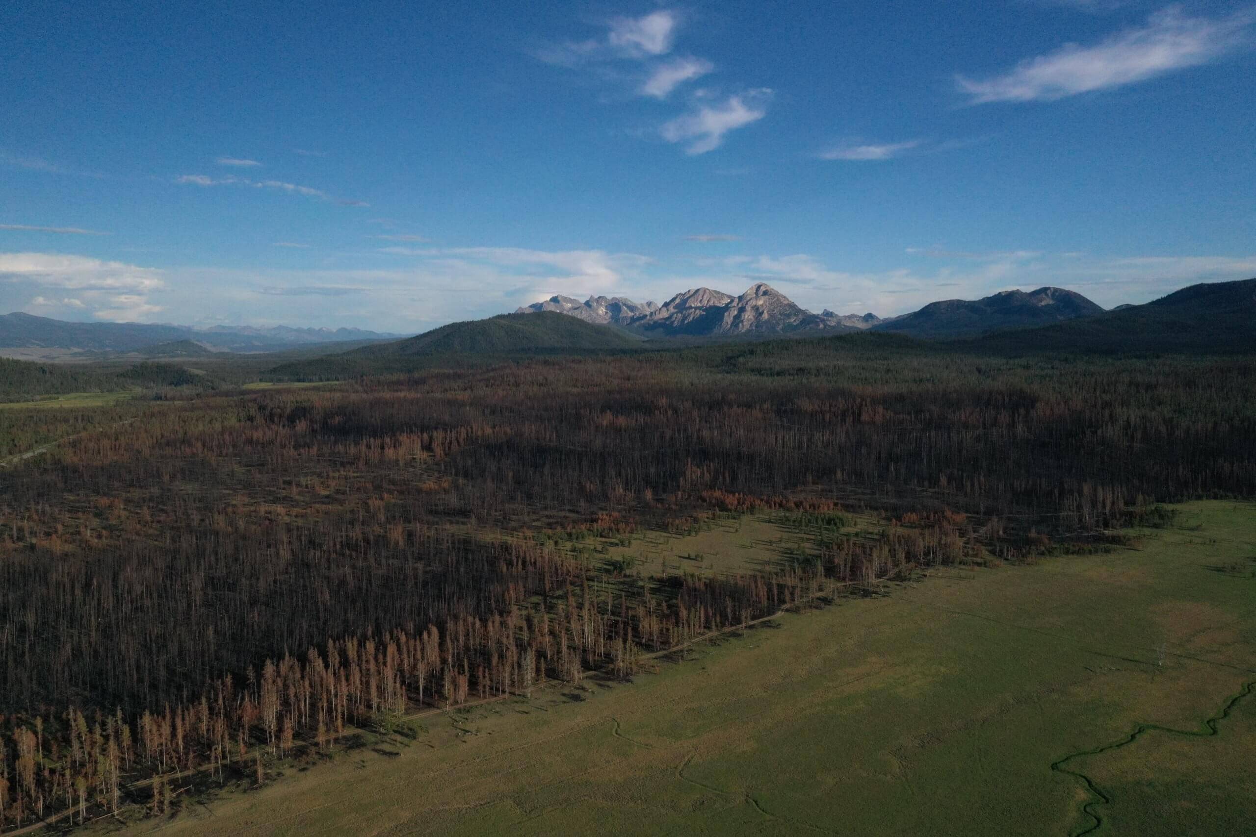 view of a sprawling field with a forest and mountains in the background