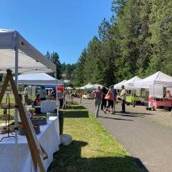 People walk and shop in the outdoor Latah Farmers Market.