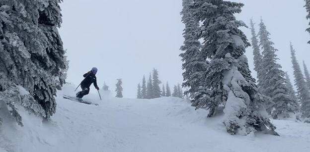 A person skiing between trees in a snow-covered forest at Schweitzer.