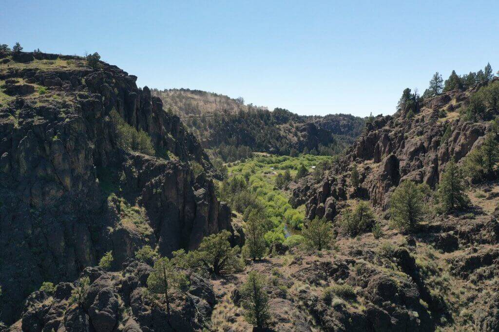 A rugged mountain landscape covered with trees.