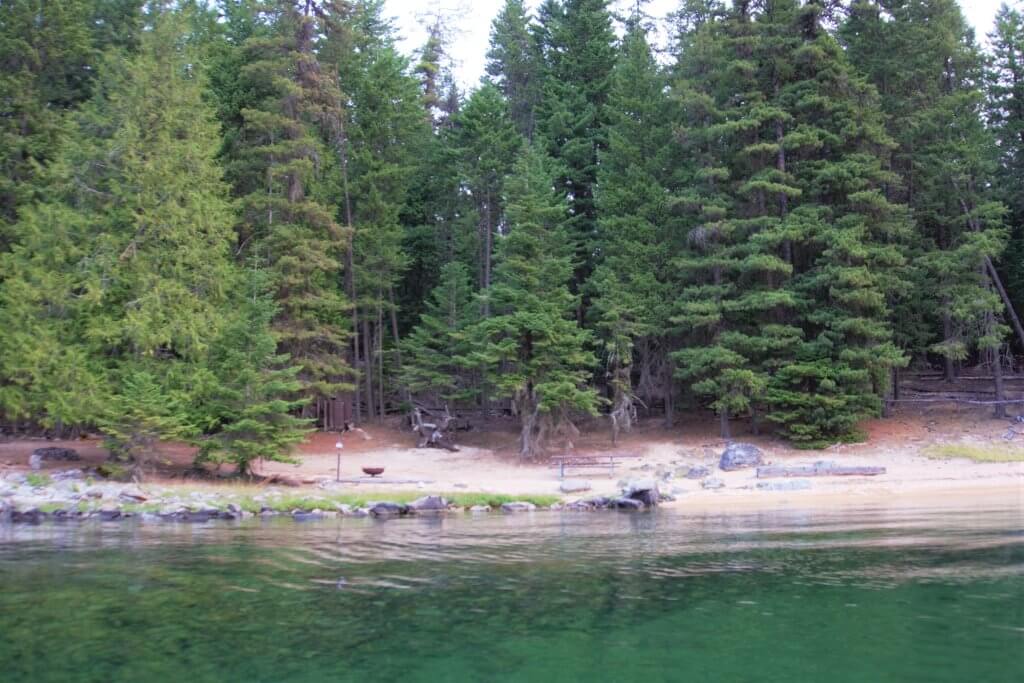 sandy beach with fire pit and log benches surrounded by pine trees