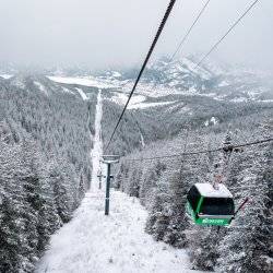 A green gondola going down a cable on a snowcovered mountain.