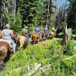 5 people on horseback in forest