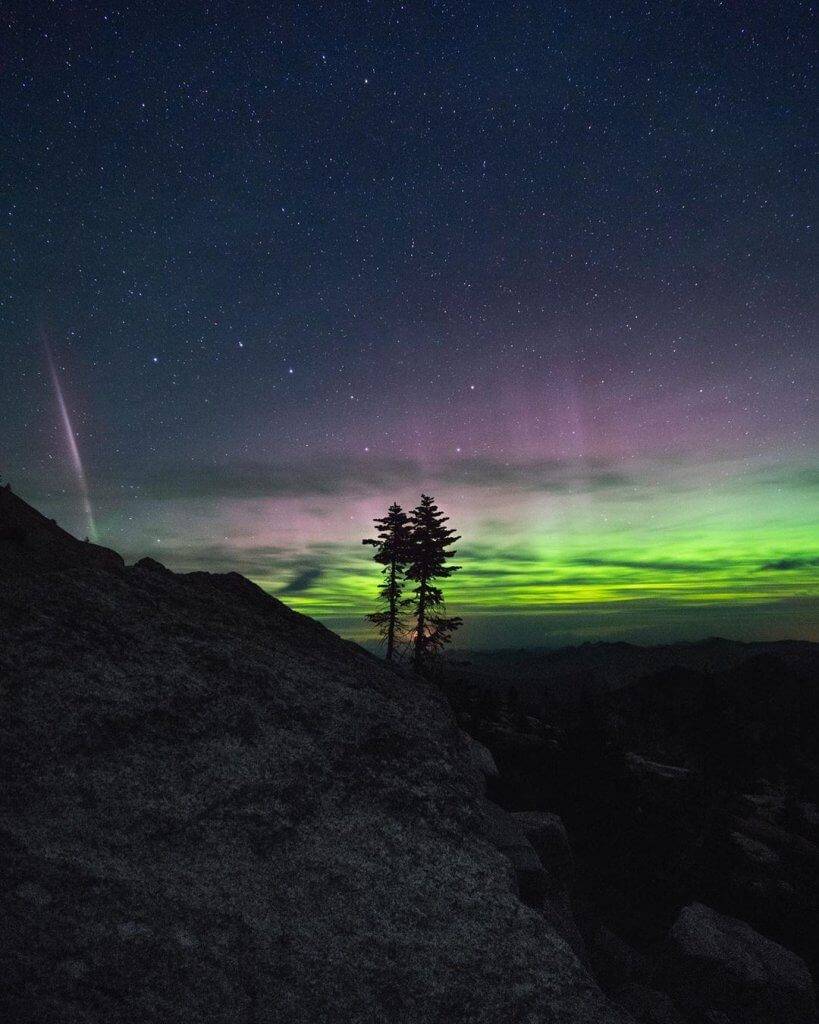 two trees on side of hill with green and purple northern lights in the background