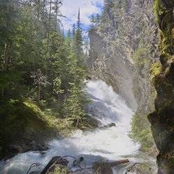 A view of Lower Granite Creek Falls in a deep canyon with tall trees on either side.