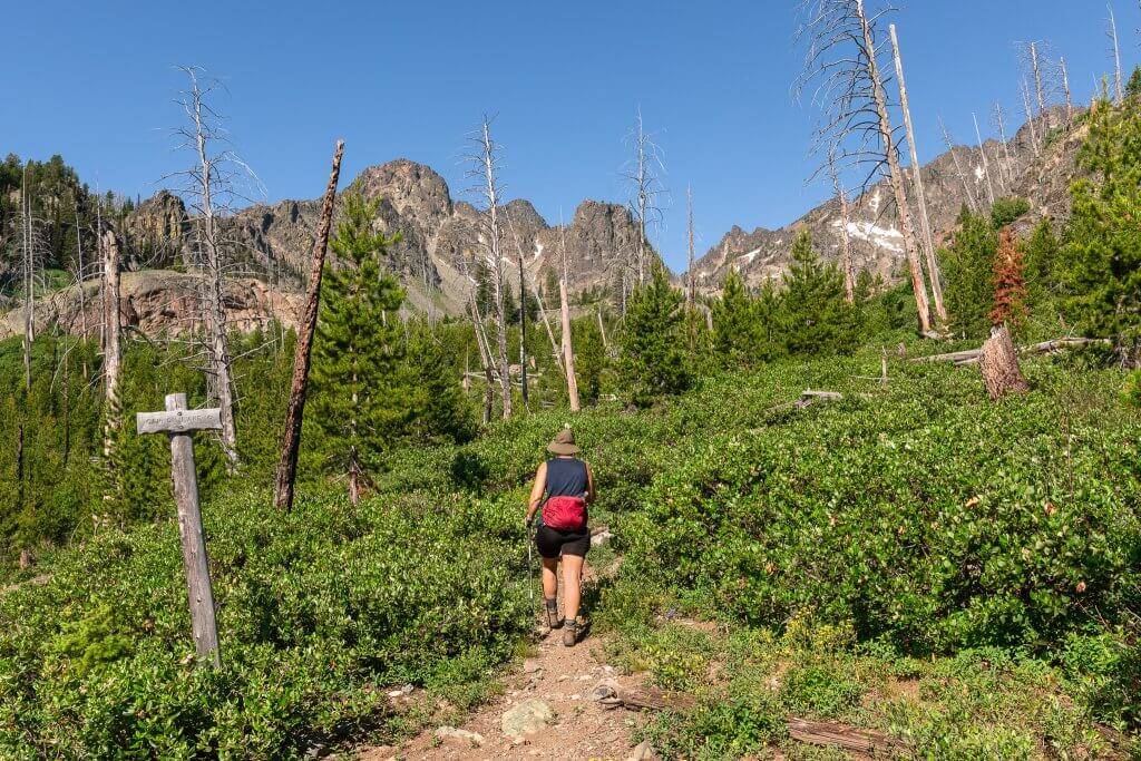 woman hiking mountain trail surrounded by green plants and trees