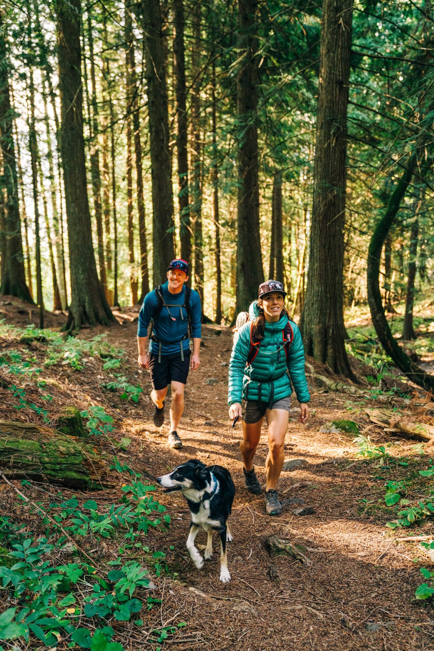 a man, woman and black and white dog hiking on a trail in heavily wooded area with some sunlight shining through the trees