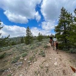 a child on a horse riding into mountain forest