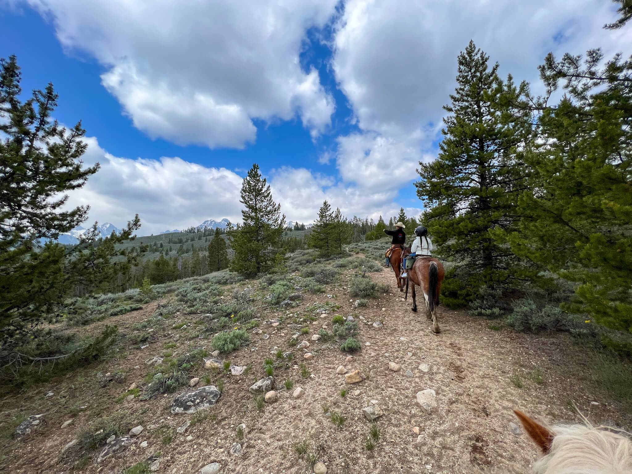 a child on a horse riding into mountain forest