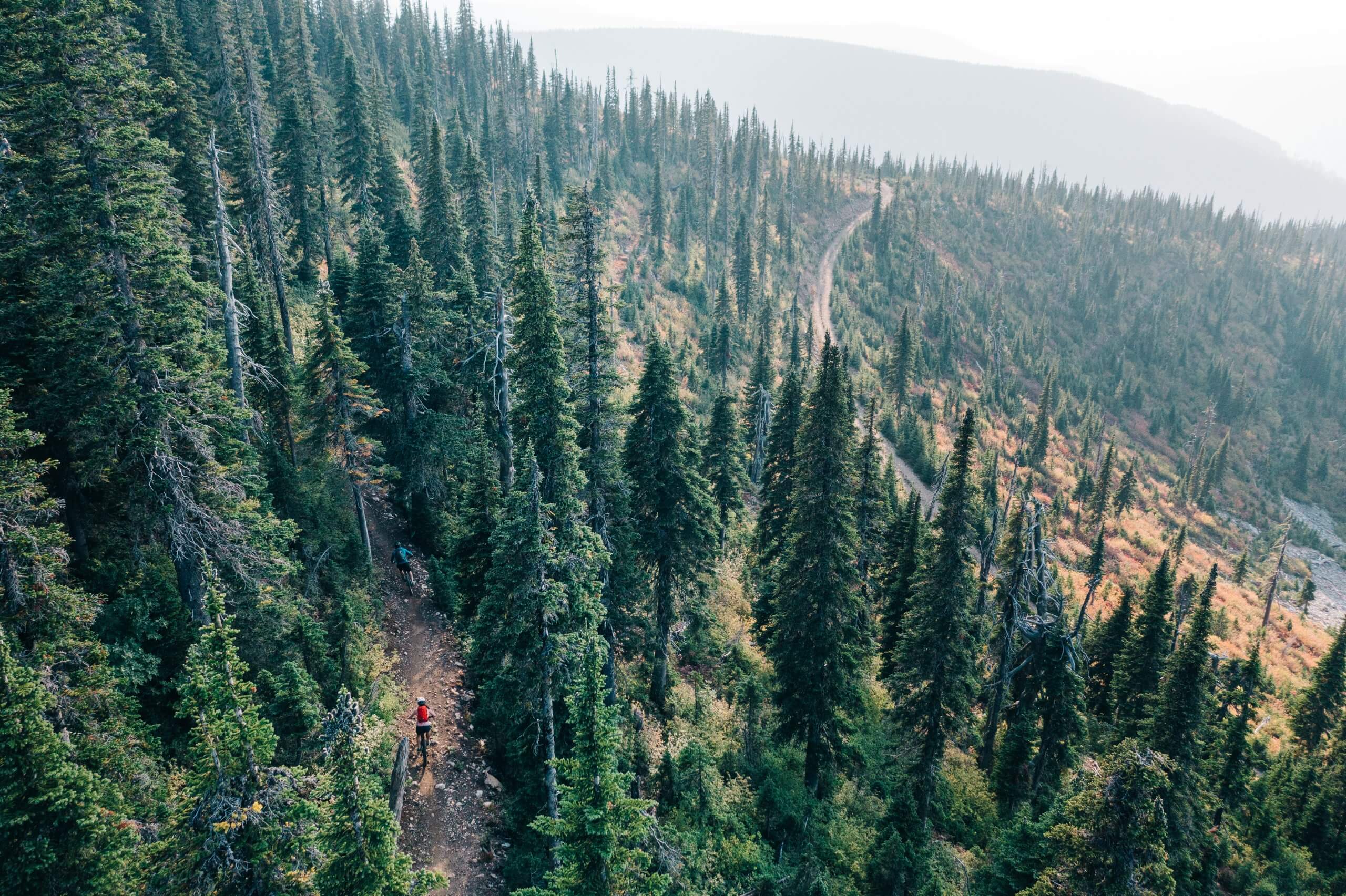 large aerial view of dense forest with a single mountain biker in bottom left corner on designated trail