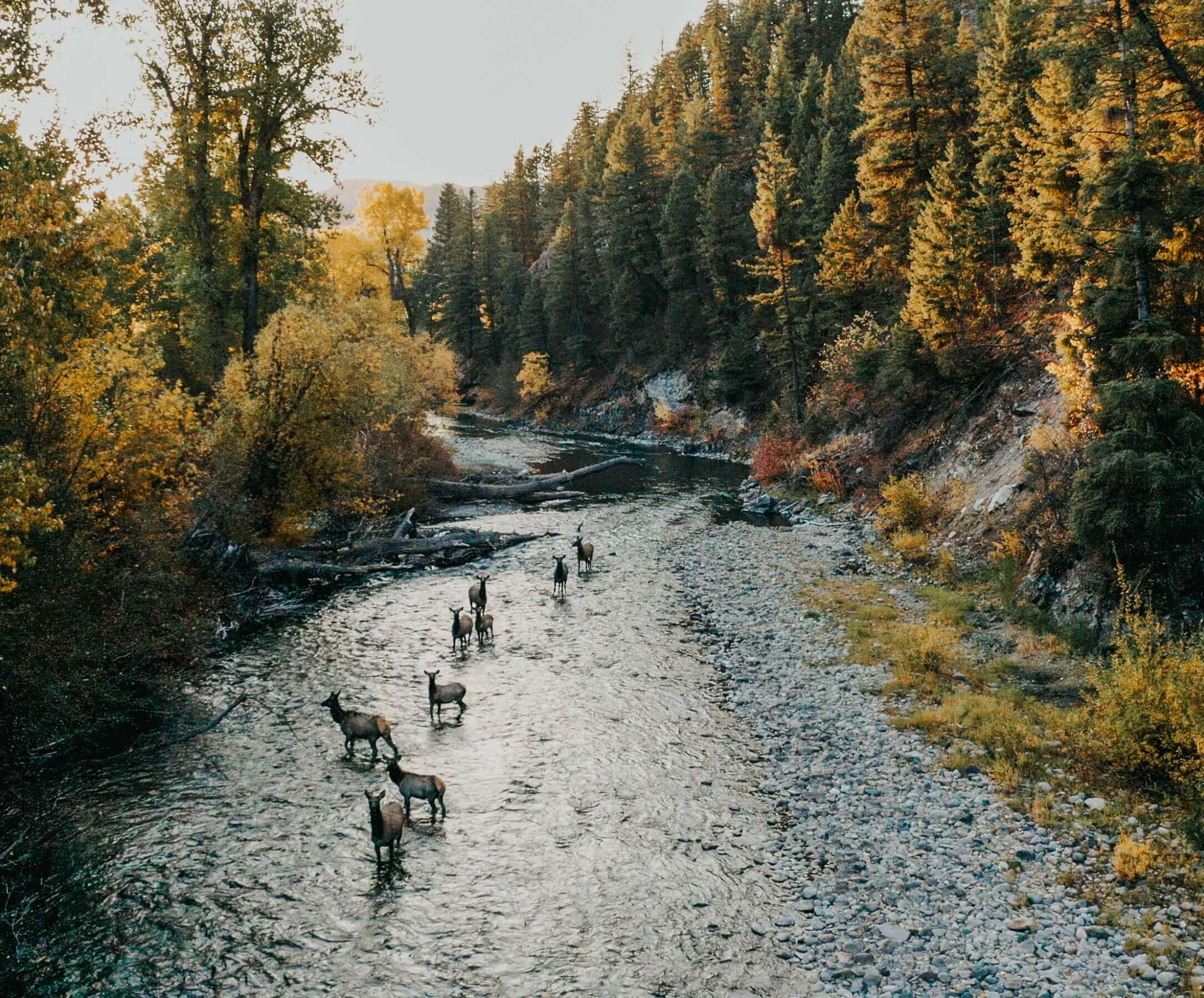 Idaho. Más Allá De Las Palabras.