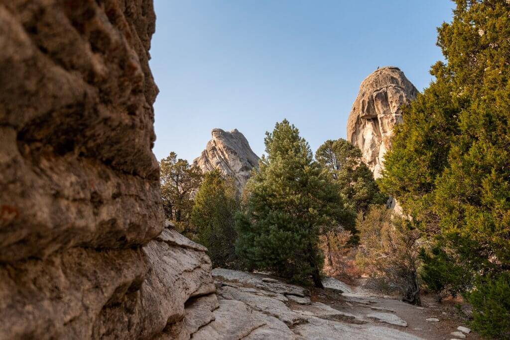 medium shot of rocky trail in rock walled canyon with a small creek and some shrubs and trees