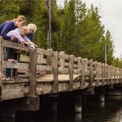 Three generations of women stand on a wooden bridge and feed the fish below.