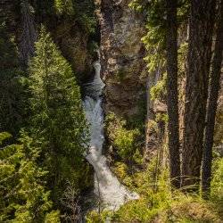 Myrtle Falls flowing surrounded by lush green forest.