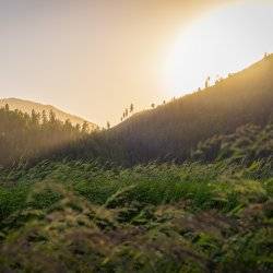 A scenic shot of the mountains with the sun rising behind them in the Kootenai Wildlife Refuge.