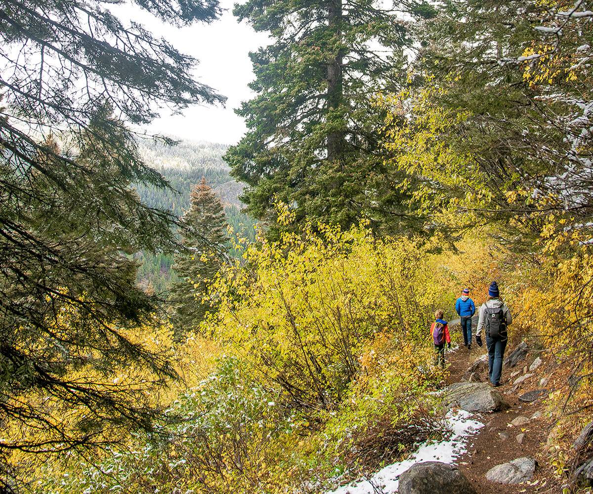 Family on a mountain hike at Goose Creek Falls.