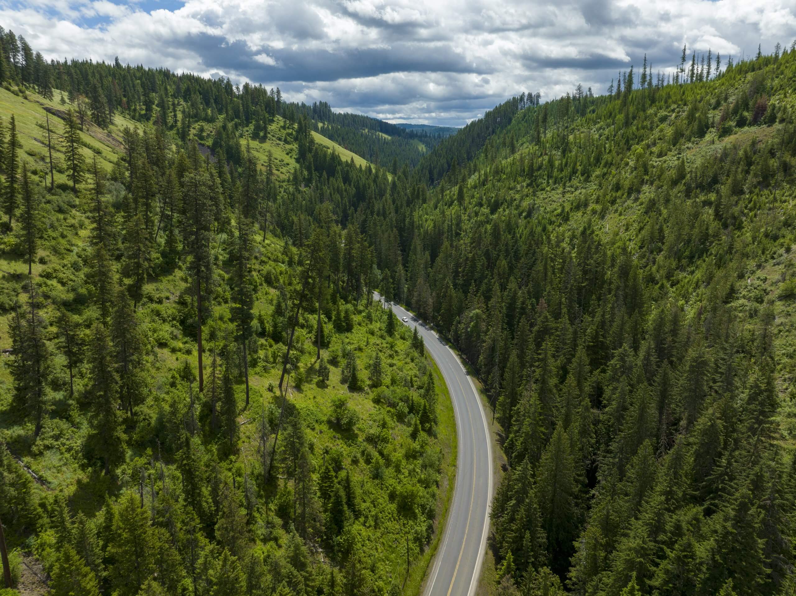 White Pine Scenic Byway