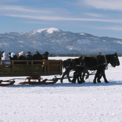 A team of horses pull a sleigh full of people in front of mountains.