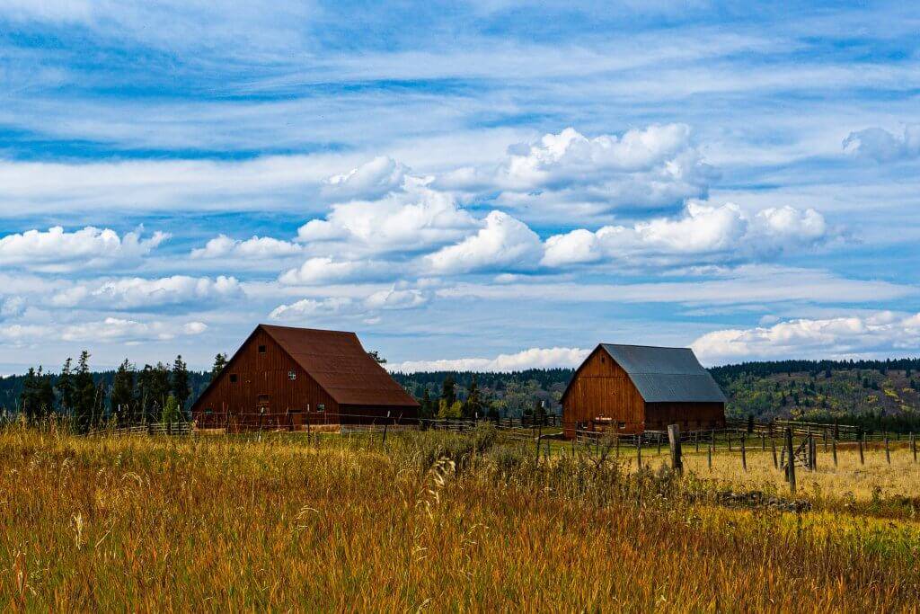 a rustic barn and rustic wooden building surrounded my small brush at harriman state park